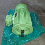 TAIYO Electric - LT FW Cooling Pump Motor - Image 5