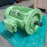 TAIYO Electric - LT FW Cooling Pump Motor - Image 6